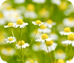 2022年度 下半期の申込み受付を開始いたしました☆彡