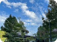 研修会「参加者さまの声」アップしました!