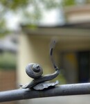 「発達障がいの基礎知識」研修を開催しました